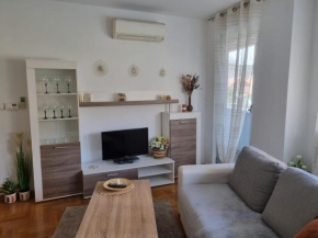 Apartman Joy